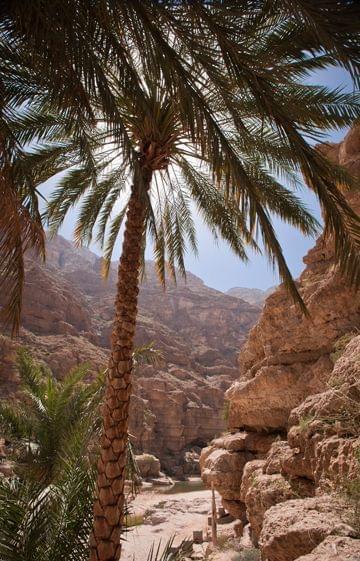wadis nature oman