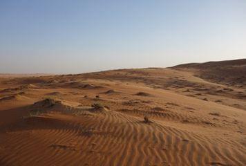 désert wahiba sands à Oman désert d'Oman