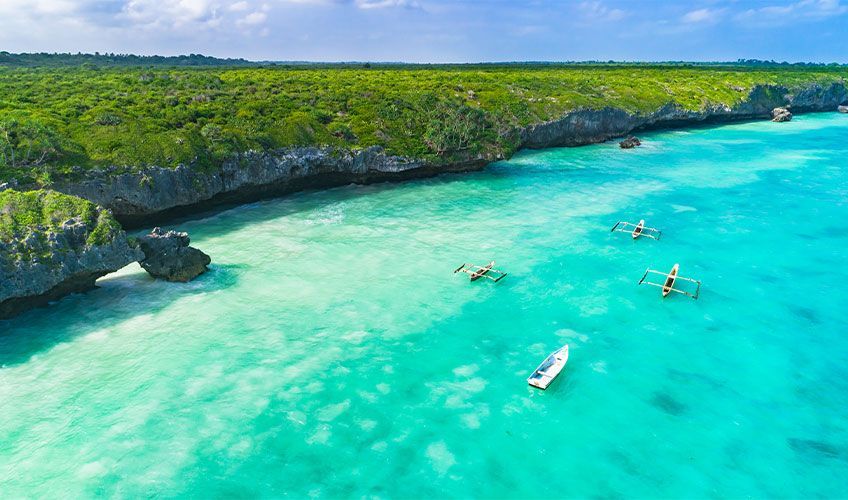 vue a�rienne sur une c�te de Zanzibar