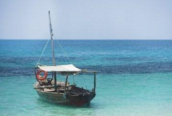 dhow safari blue dhow safari blue
