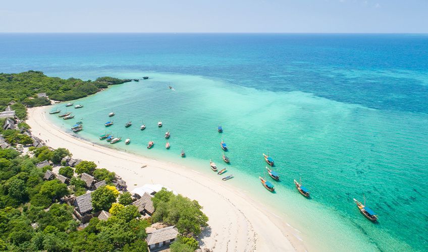 plage paradisiaque � Zanzibar