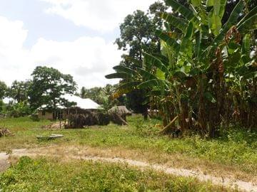 zanzibar hors des sentiers battus