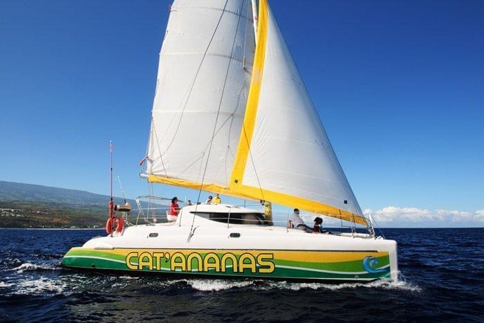 Sorties Catamaran