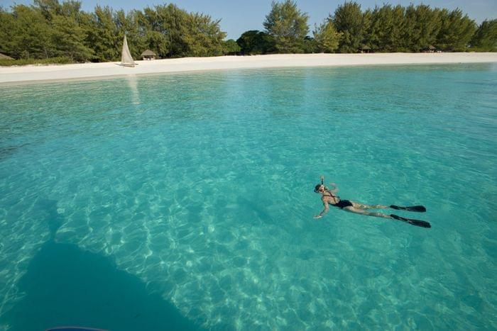 Rencontre avec les dauphins et snorkeling 