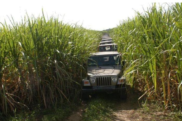 JEEP & TRUCK Safari