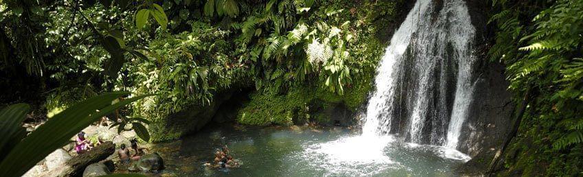 Guadeloupe : Basse-Terre, au cœur d'une nature incroyable