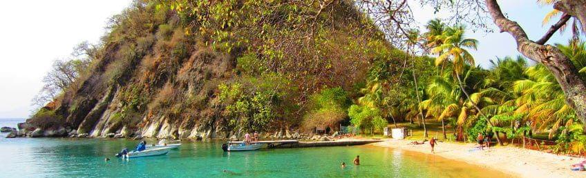 Guadeloupe : snorkelling dans la baie des Saintes