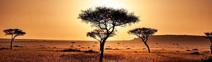 Immersion dans la culture Masaï