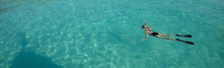 Nager avec les dauphins à Zanzibar