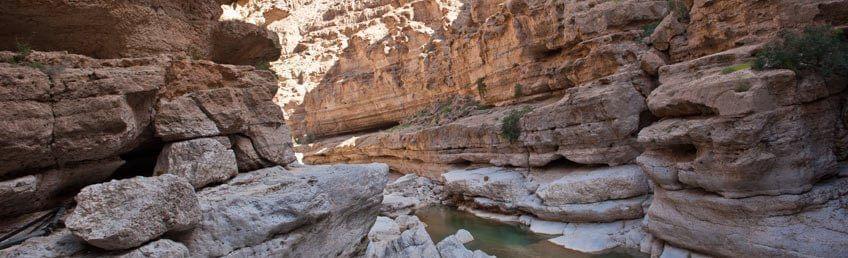 Oman : pause fraîcheur dans les wadis