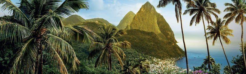 Sainte-Lucie : la forêt tropicale, entre nature et aventure