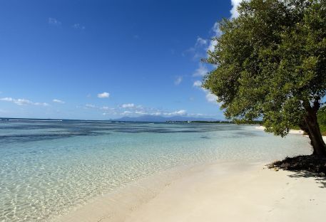 Nos combins dans les Carabes