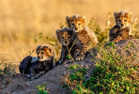 Nos combins Tanzanie/Zanzibar