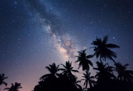 Nos séjours les plus plébiscités