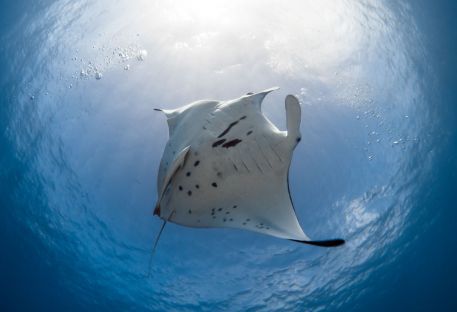 Nos sjours plonge dans l'archipel des Marquises