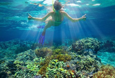 Nos sjours plonge aux Bahamas