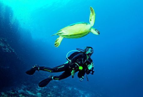 Nos sjours plonge aux Carabes