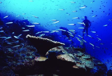 Nos sjours plonge  Rodrigues