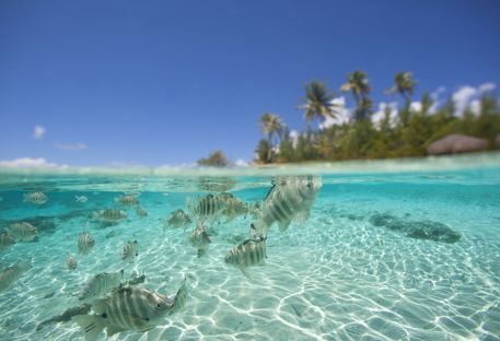 Nos séjours à Tikehau