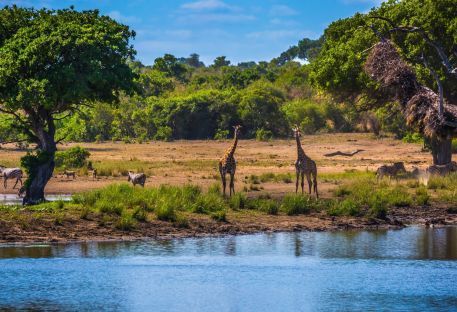 Nos voyages en Afrique du Sud