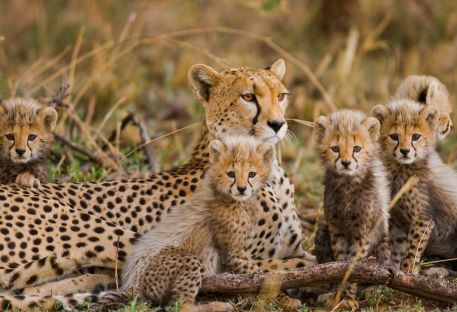 Nos sjours en Tanzanie