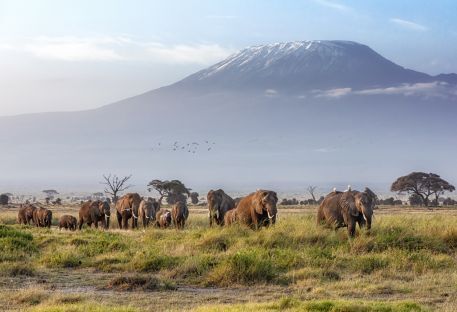 Nos séjours extraordinaires