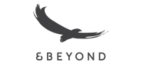 &Beyond