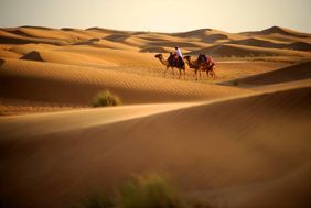 Duba, notre soleil d'hiver le plus proche