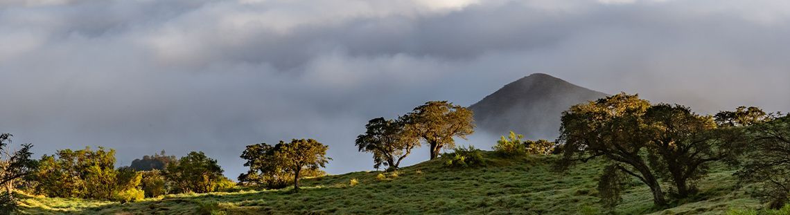 Envolez-vous pour l'�le de la R�union