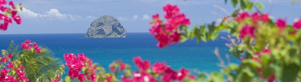 L'appel des Cara�bes