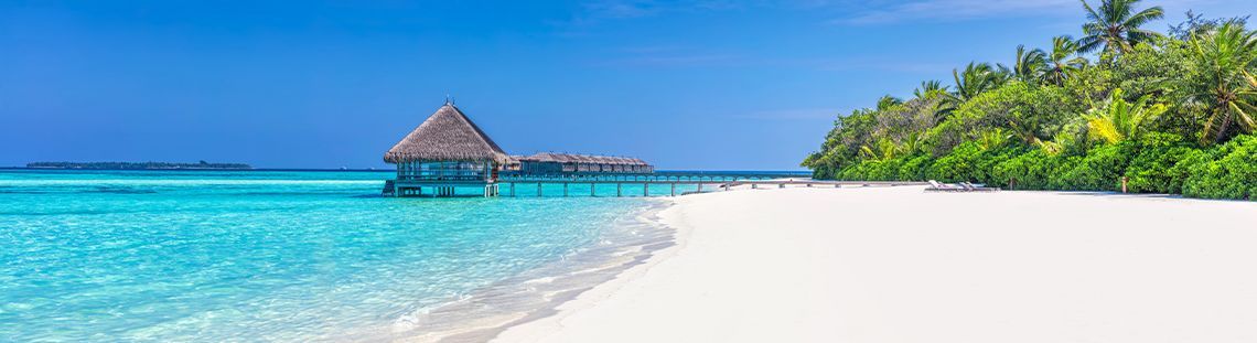 Plongez dans le bleu