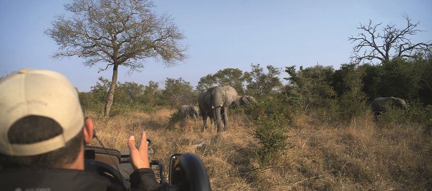 l'automne en afrique du sud