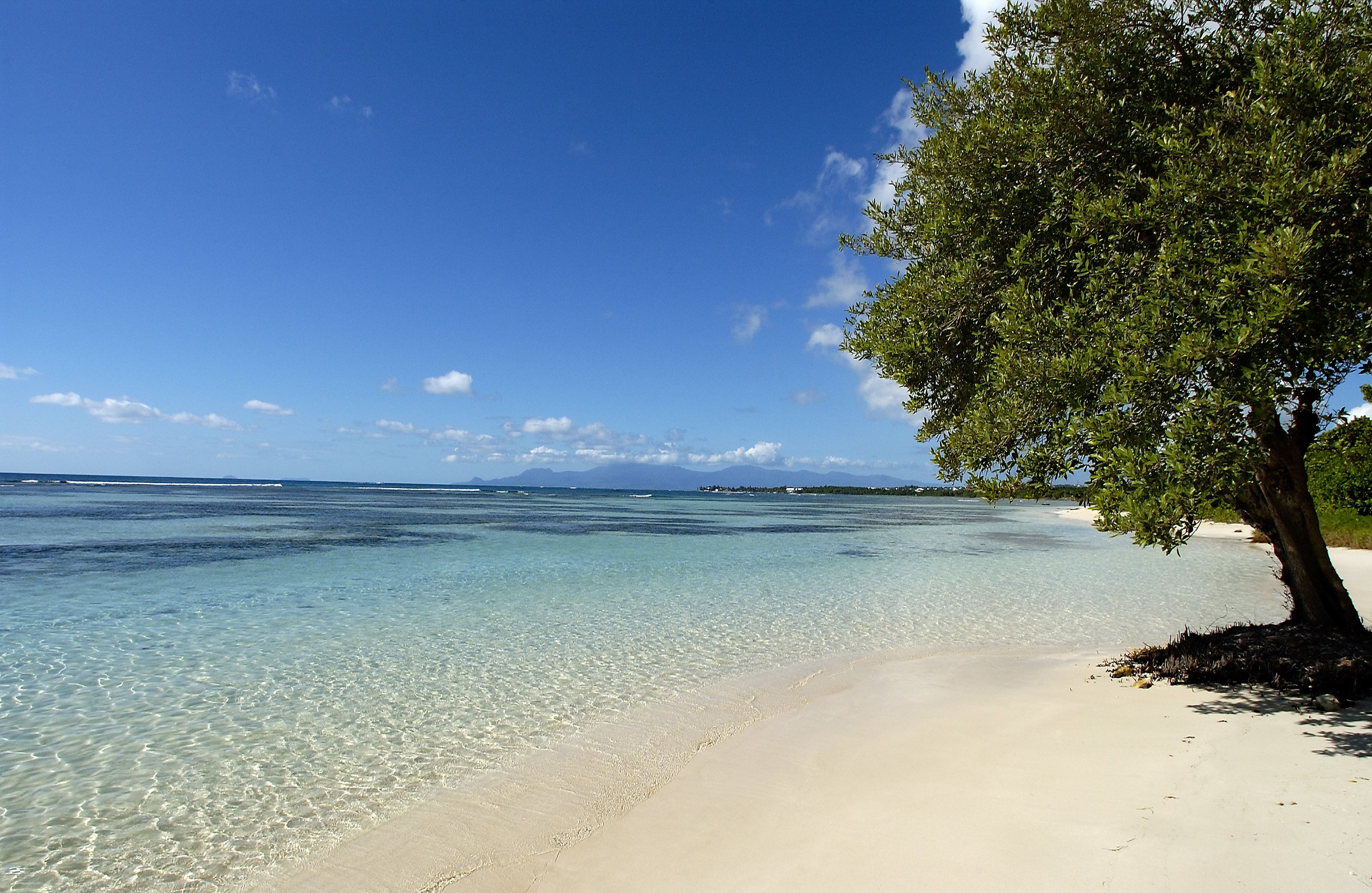 guadeloupe en decembre