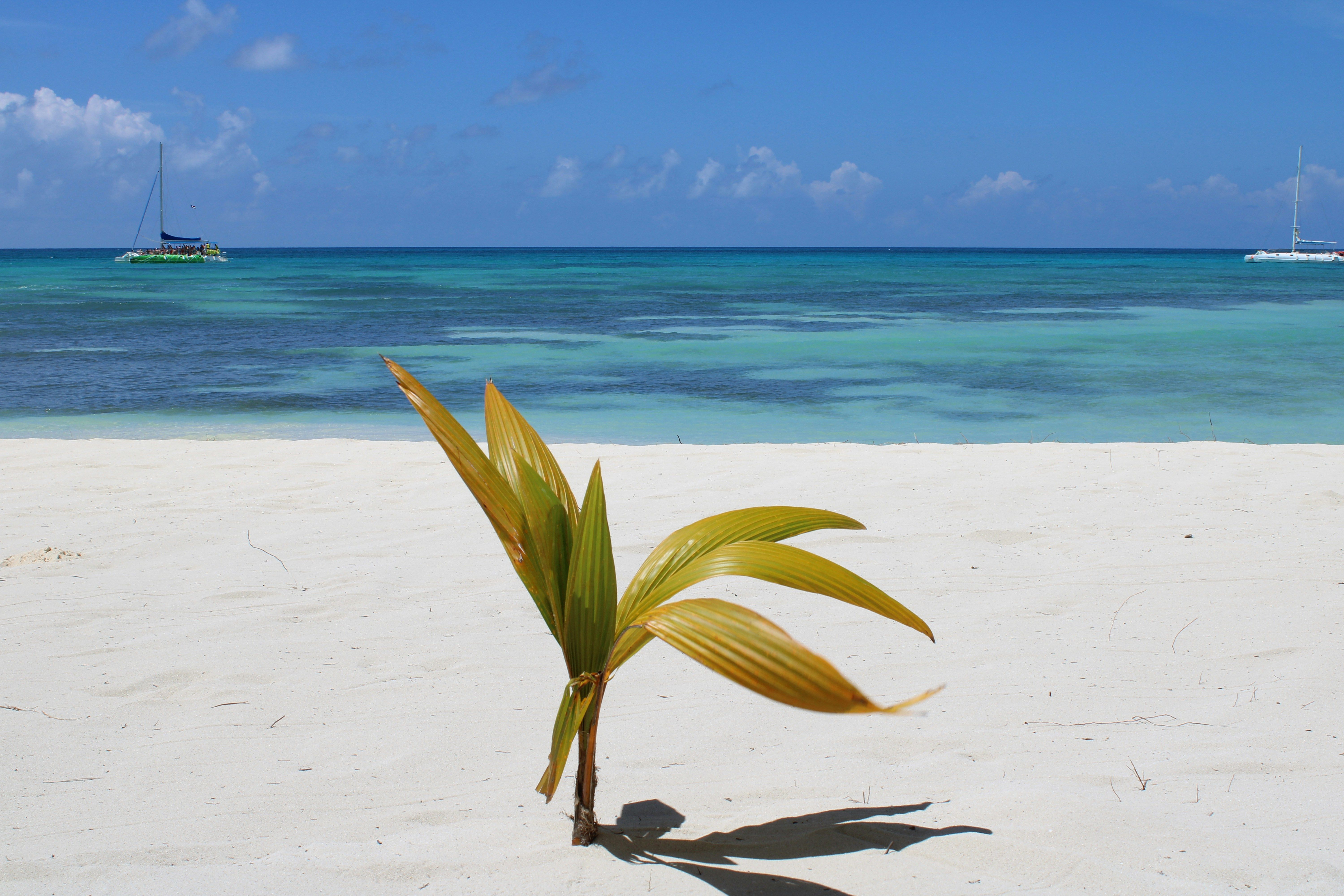 rpublique dominicaine en decembre