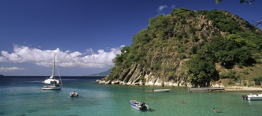 printemps en guadeloupe