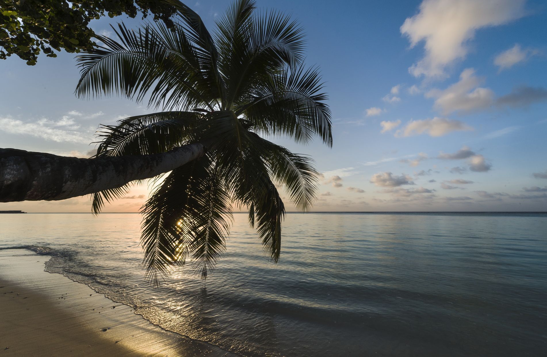 maldives en janvier