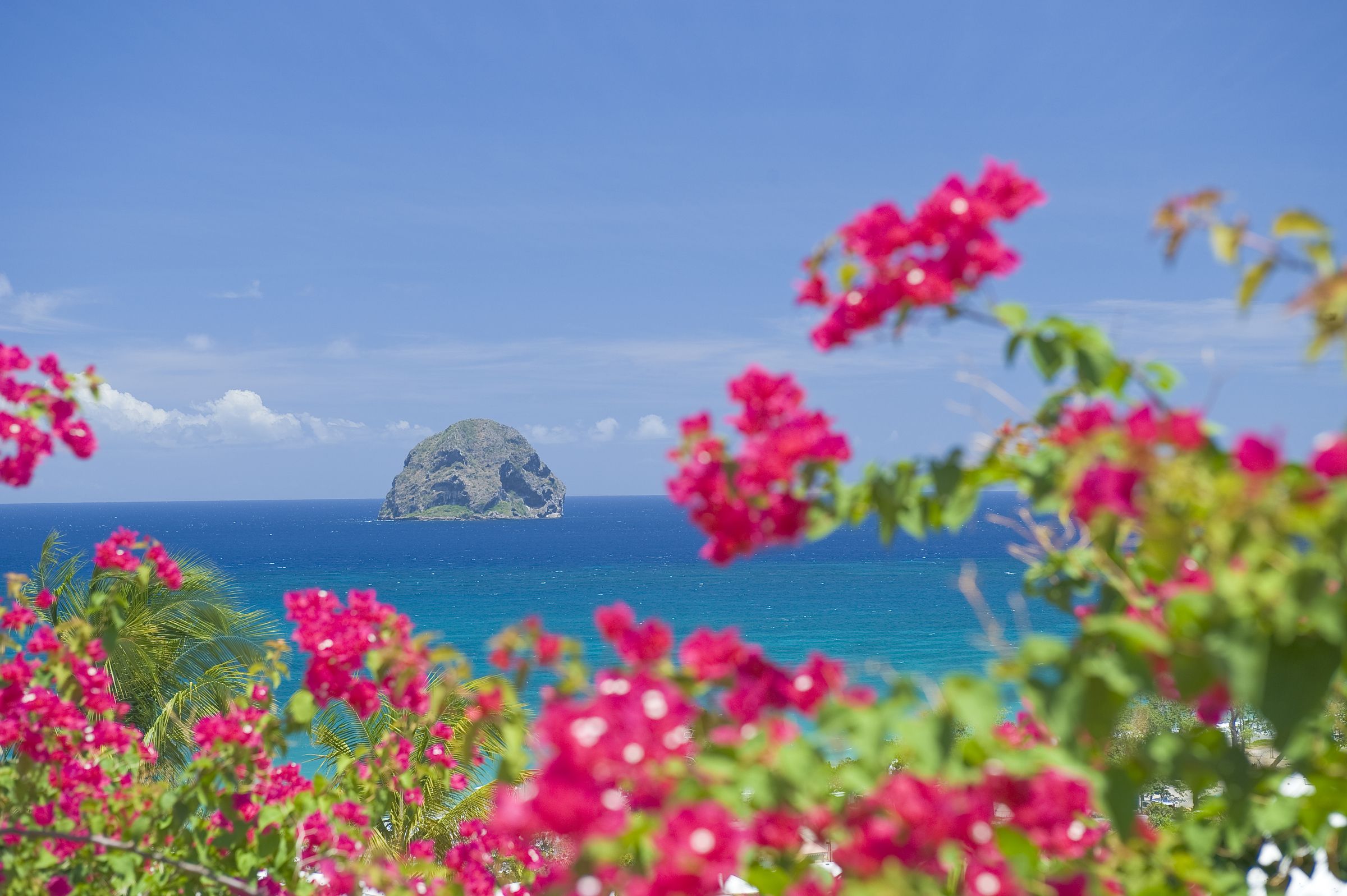 martinique en janvier