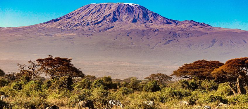 tanzanie en janvier