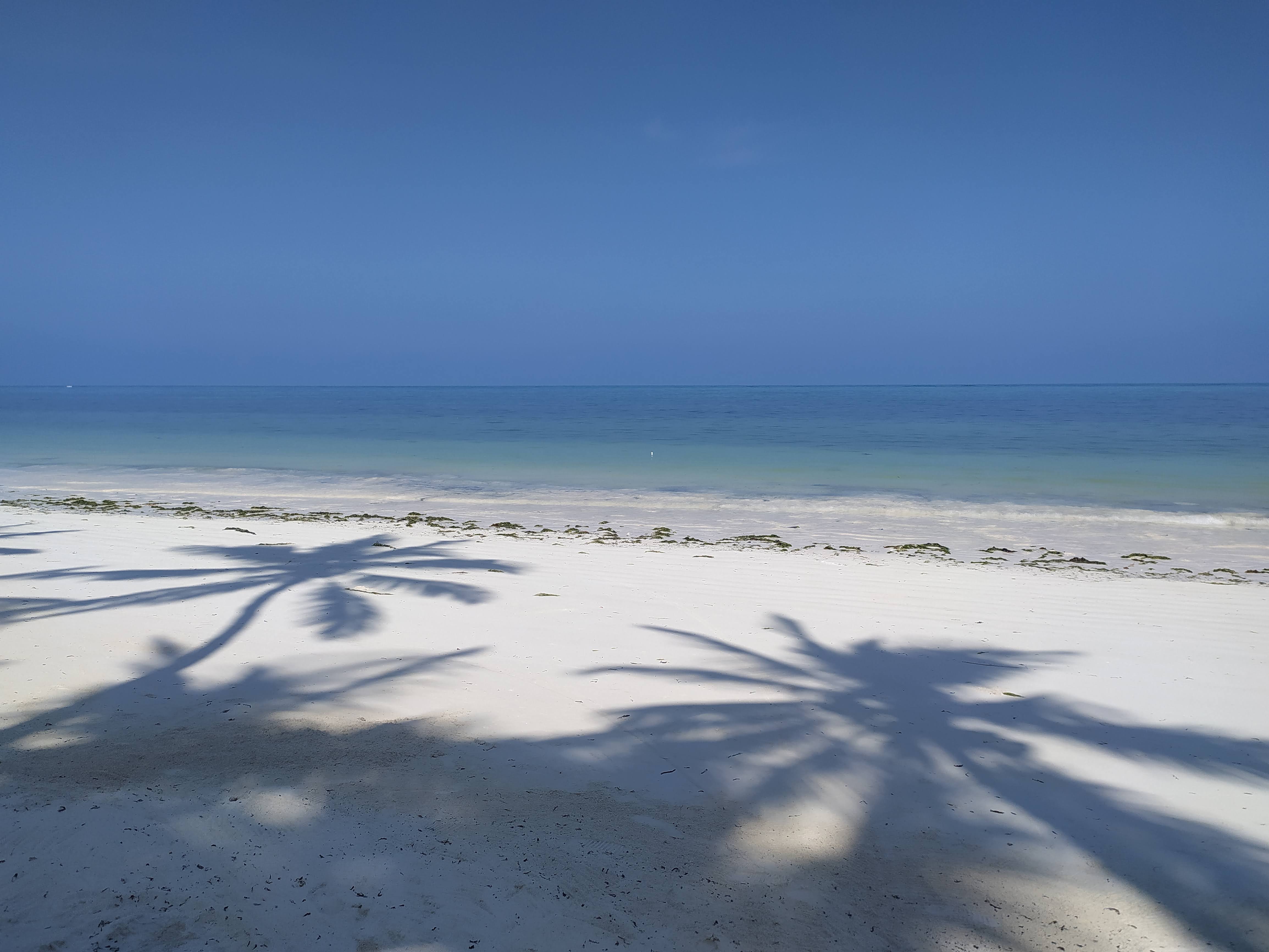 zanzibar en janvier