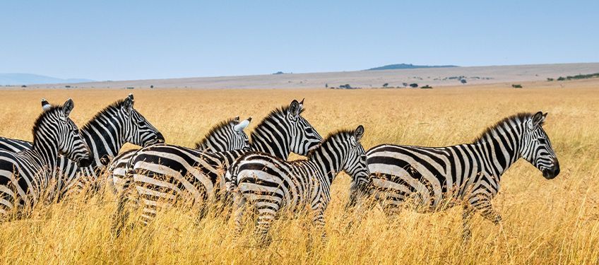 l'automne au kenya