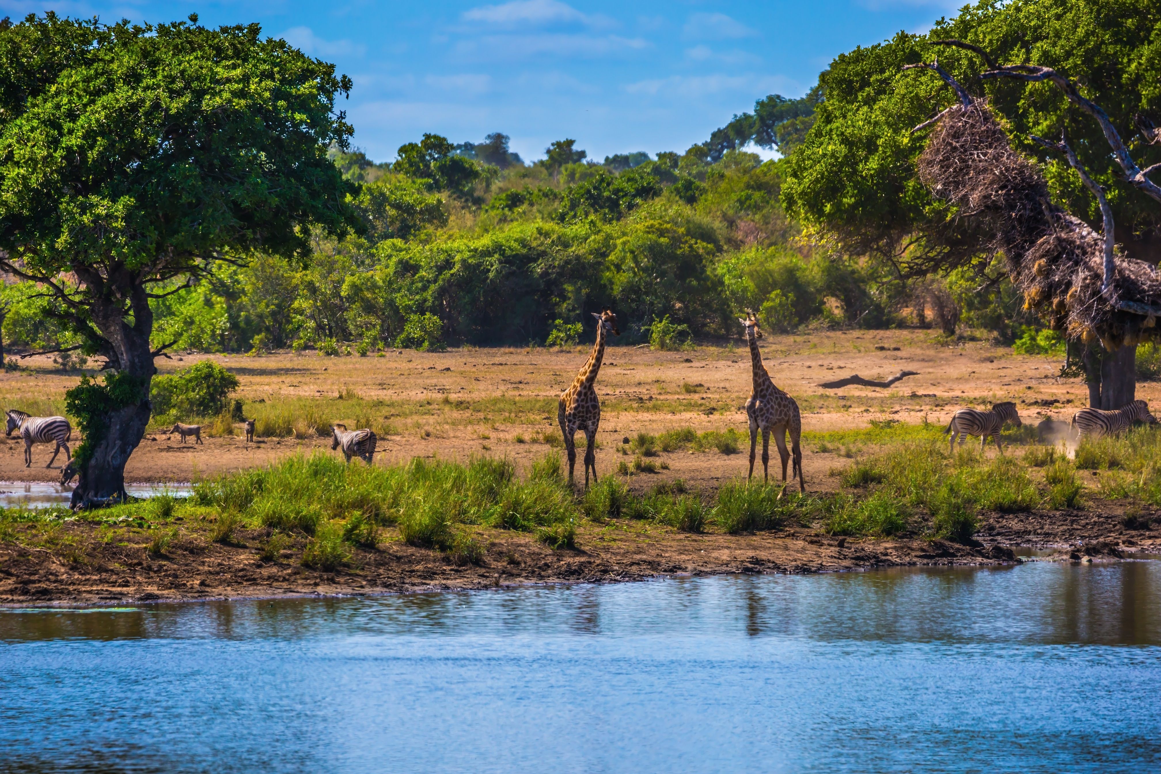 afrique du sud en mai