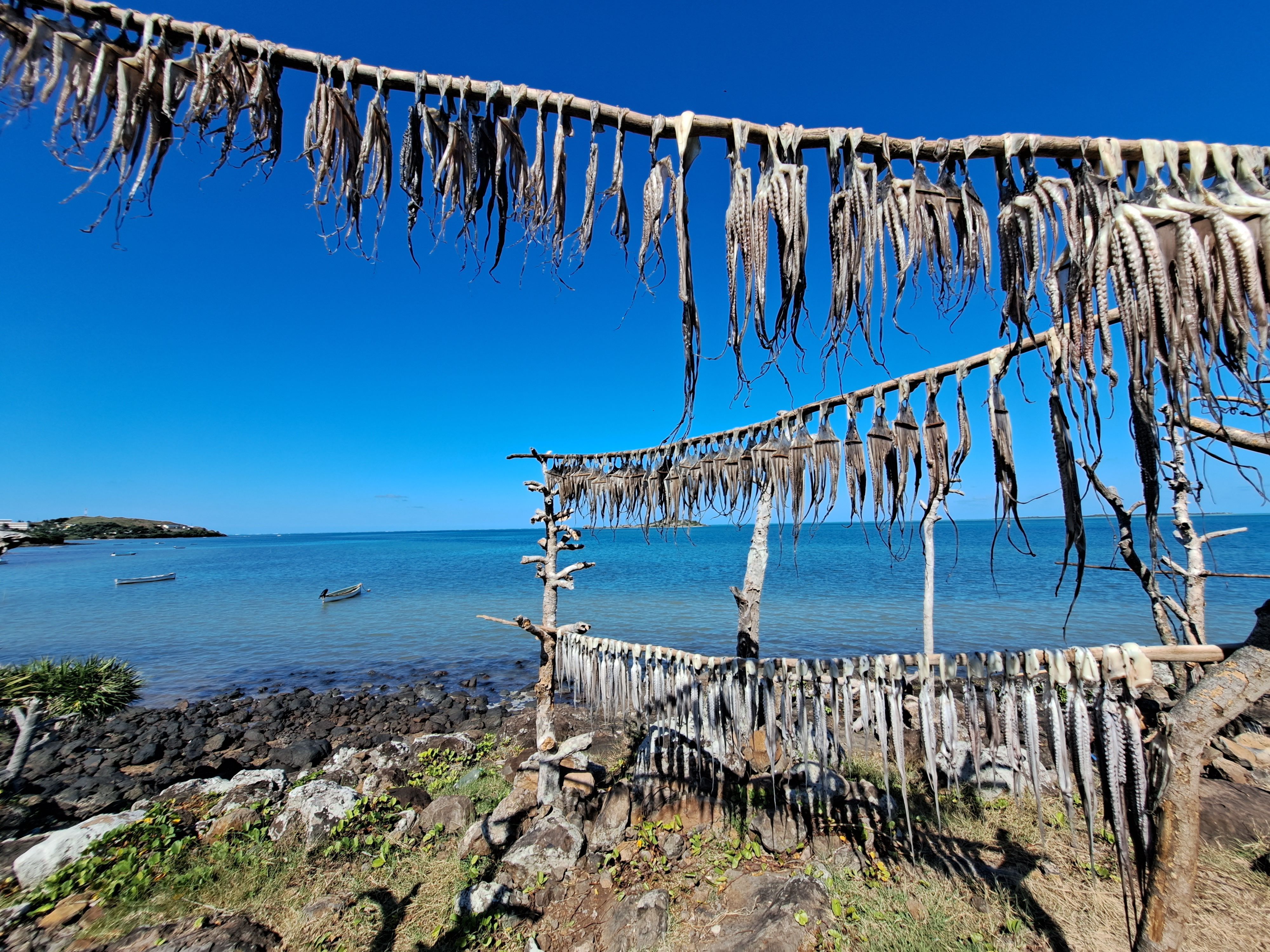 rodrigues en mai