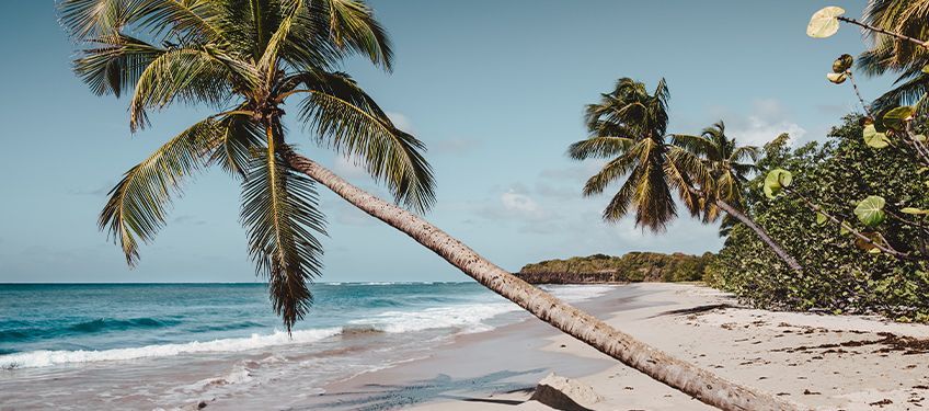 l'hiver en martinique