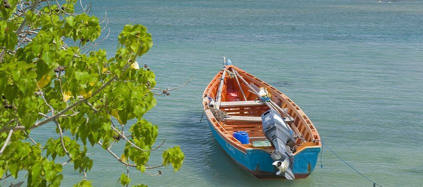 printemps en martinique