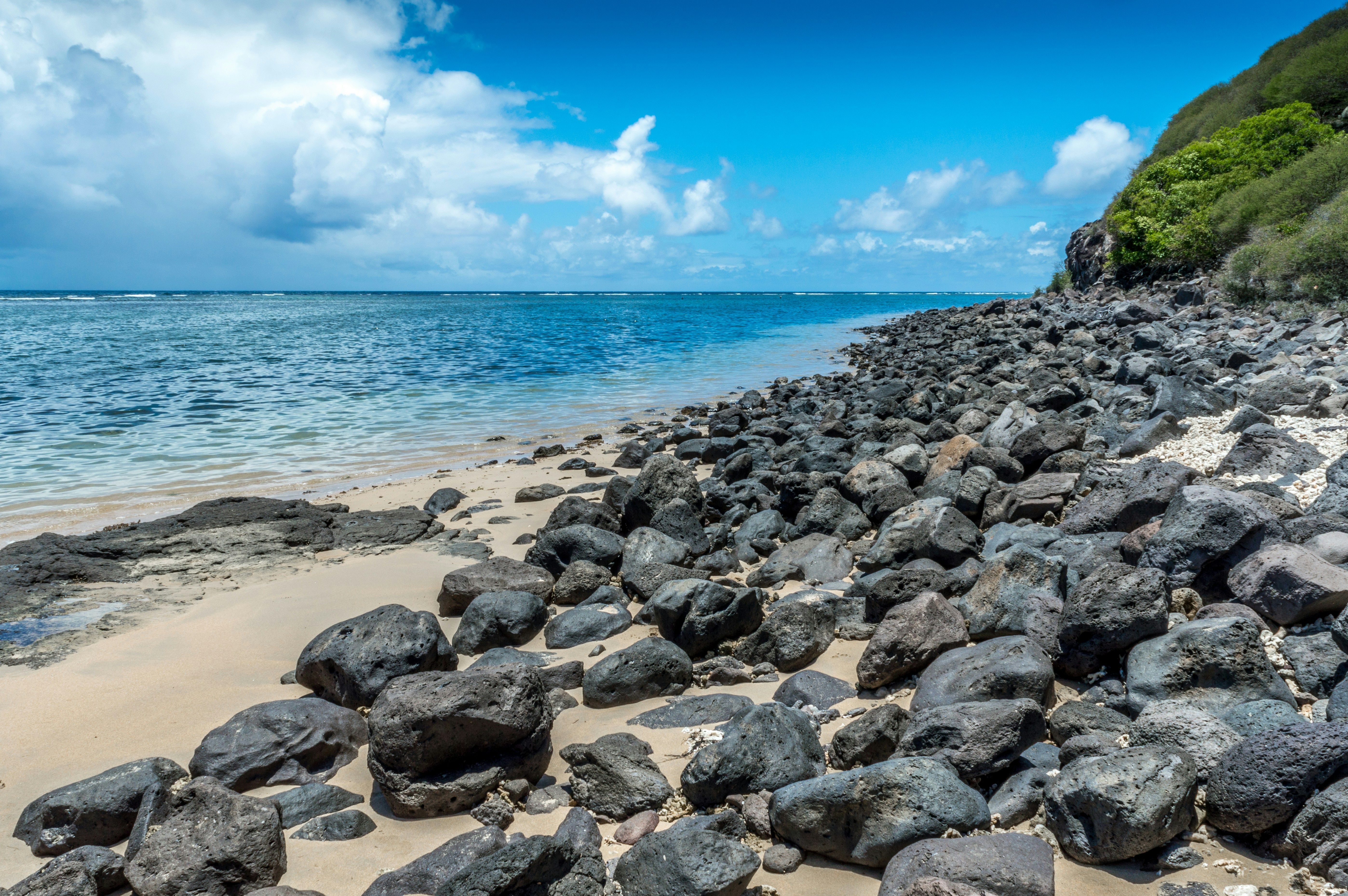 rodrigues en novembre