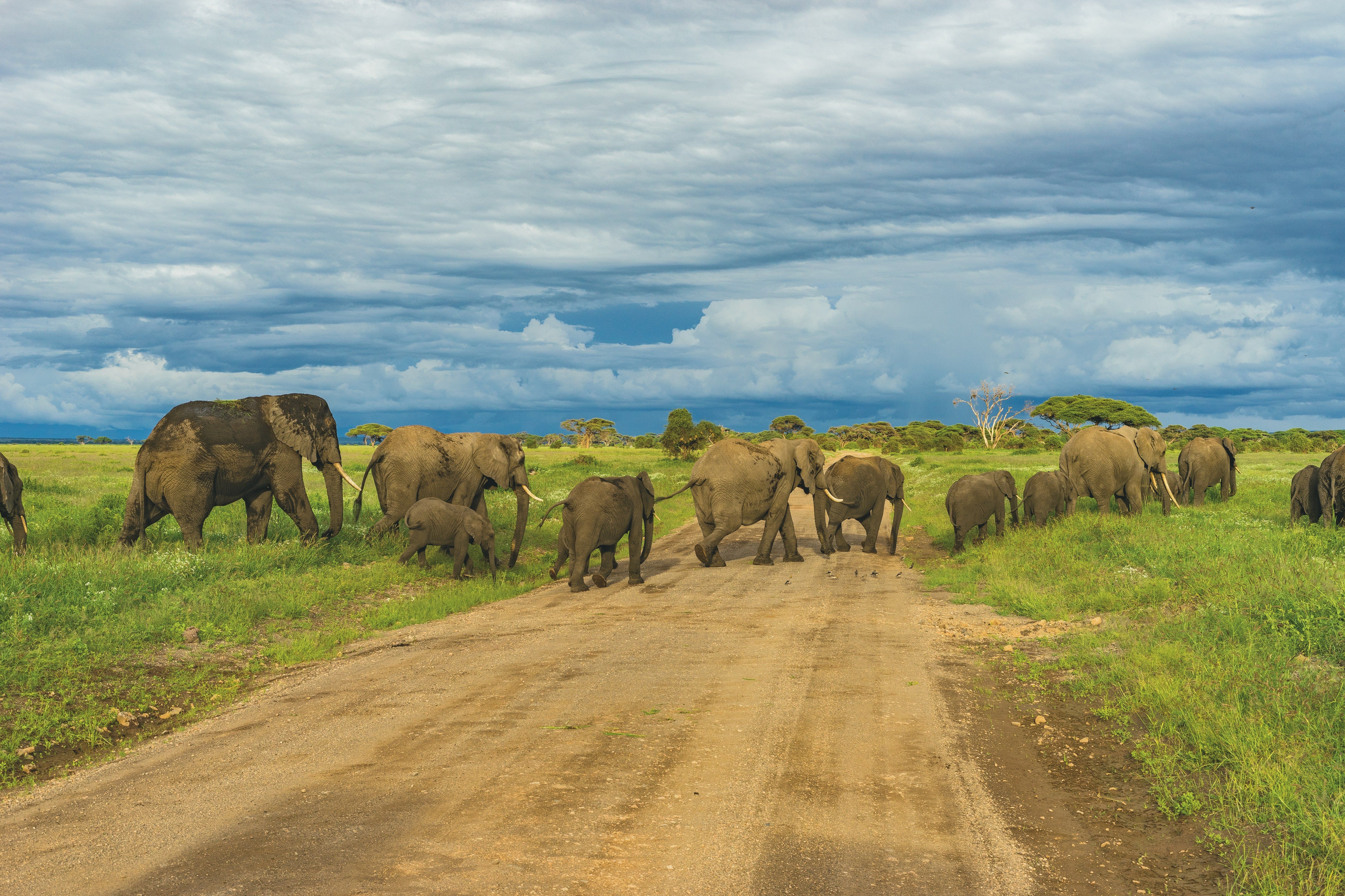 tanzanie en octobre