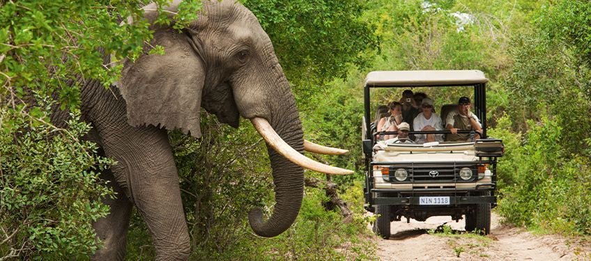 afrique du sud en septembre