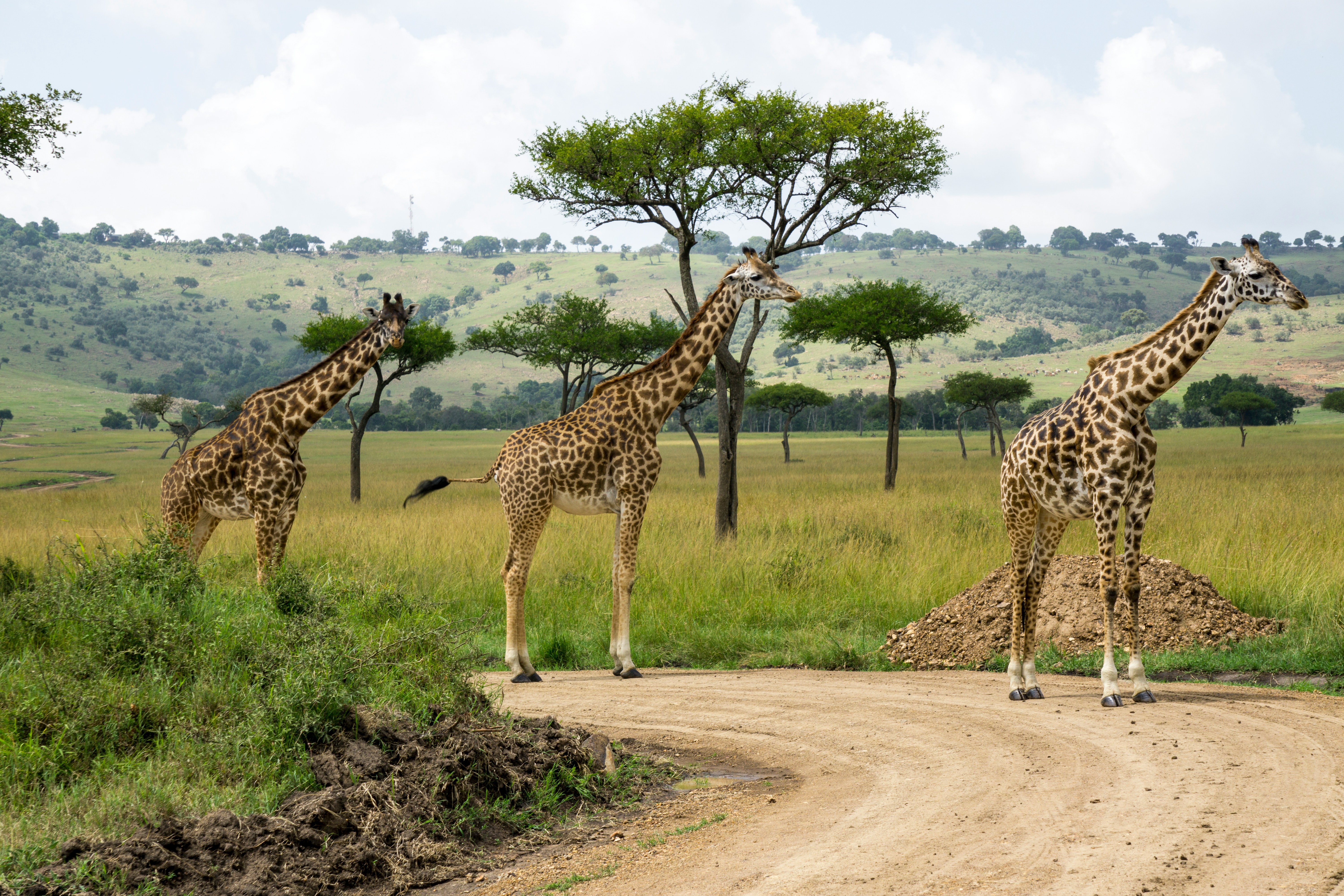 kenya en septembre