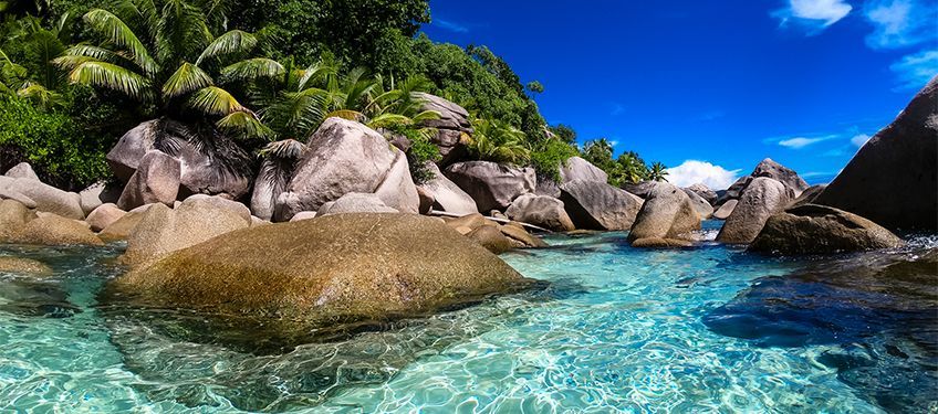 l't aux seychelles