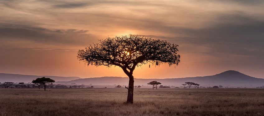 l'hiver en tanzanie